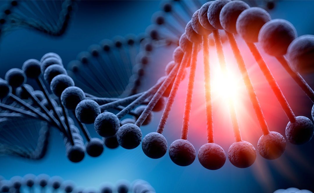 Nouvelles technologies génétiques chez les êtres humains et Droits de l’Homme