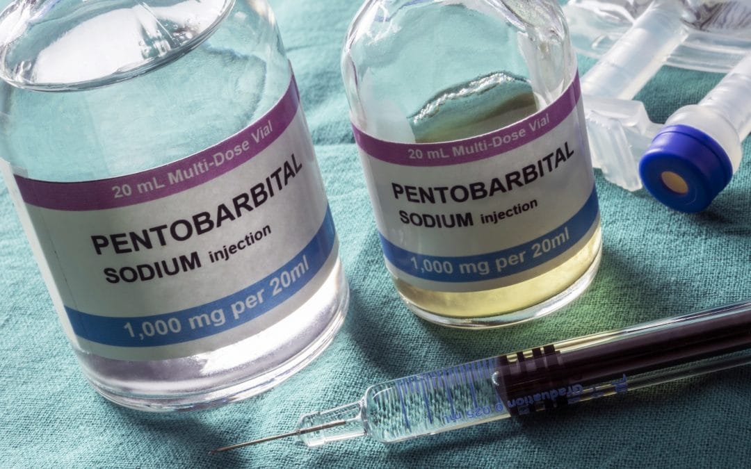 Euthanasia: Pentobarbital Drug Trafficking Network Dismantled in France