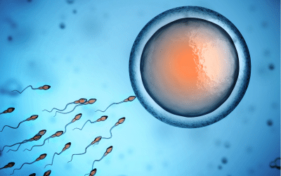 PMA : enjeux de la “pénurie” du don de sperme